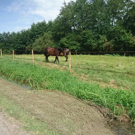 Aux Vieux Fours 4 2 Salle D'eau Σπίτι διακοπών