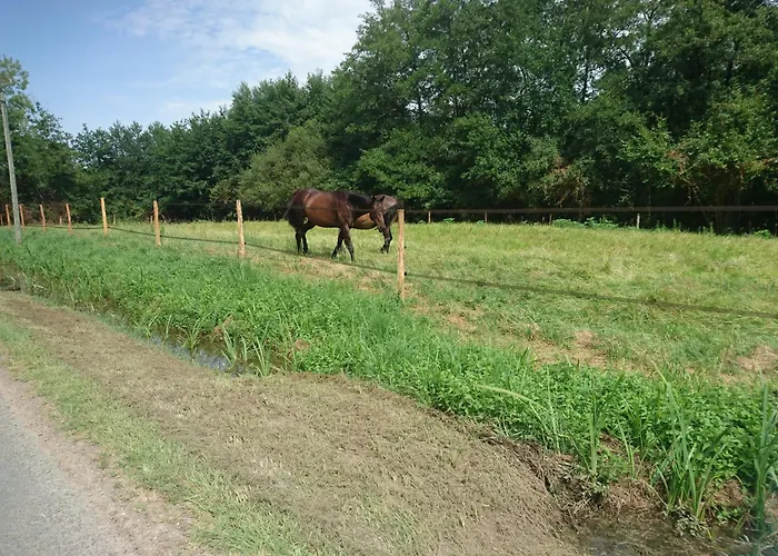 Aux Vieux Fours 4 2 Salle D'eau Σπίτι διακοπών