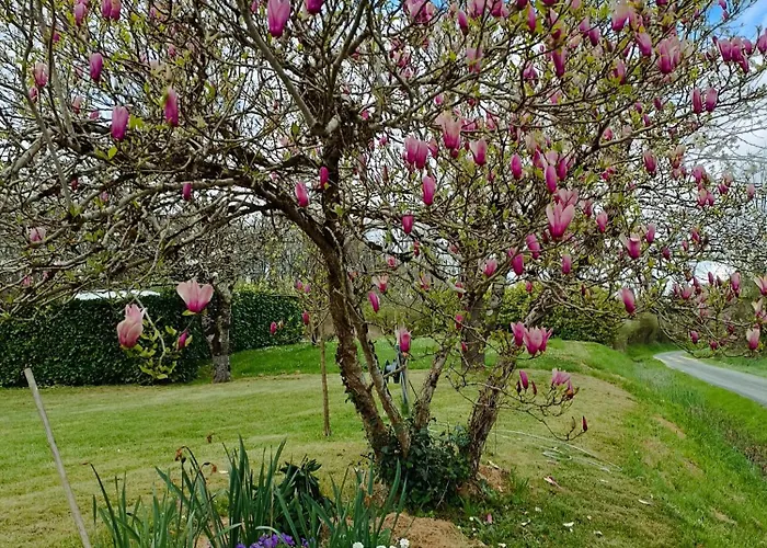 Aux Vieux Fours 4 2 Salle D'eau Noaillac